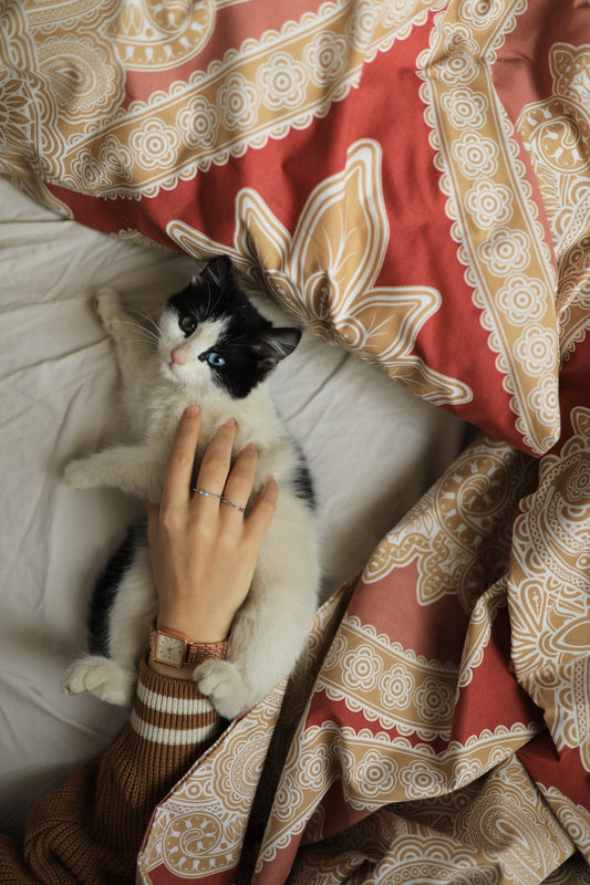 How to Pet a Cat