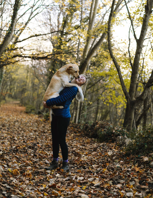 How Pets Improve Mental Health